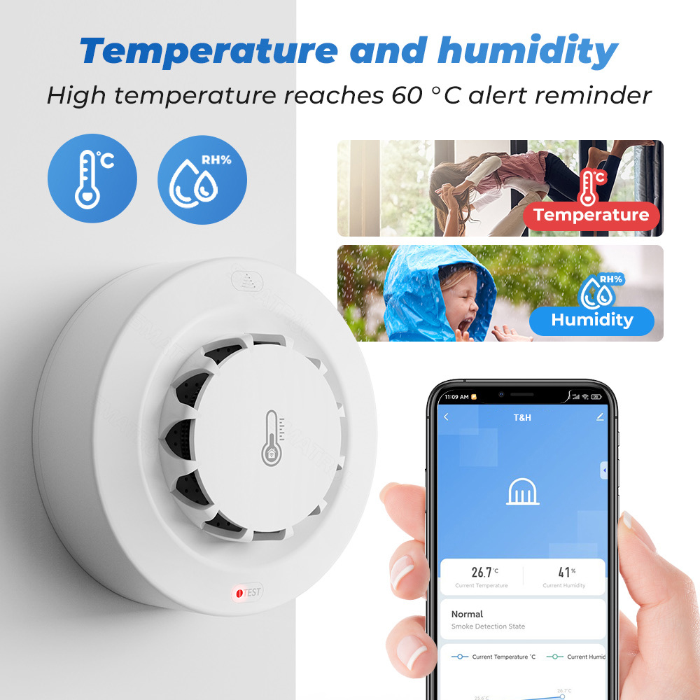Tuya WiFi Temperature and Humi - Smoke Leak Detector review and price