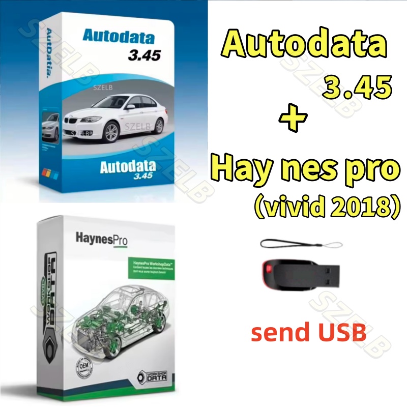 Newest hay nes pro（vivid 2018） - Auto Repair Shop Software review and price